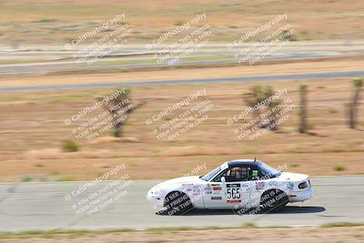 media/May-06-2023-Lucky Dog Racing (Sat) [[8f2256f436]]/Turn 2 10a/